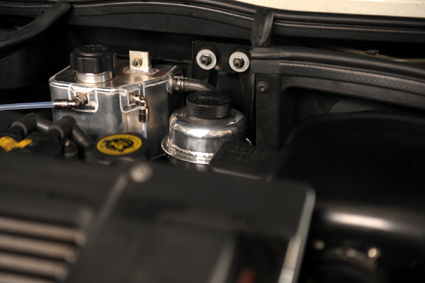 100305 MINI3 DSC_8693.jpg